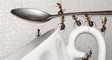 K­i­m­y­a­s­a­l­l­a­r­ ­o­l­m­a­d­a­n­ ­k­a­r­ı­n­c­a­l­a­r­d­a­n­ ­k­u­r­t­u­l­m­a­n­ı­n­ ­7­ ­d­o­ğ­a­l­ ­y­o­l­u­